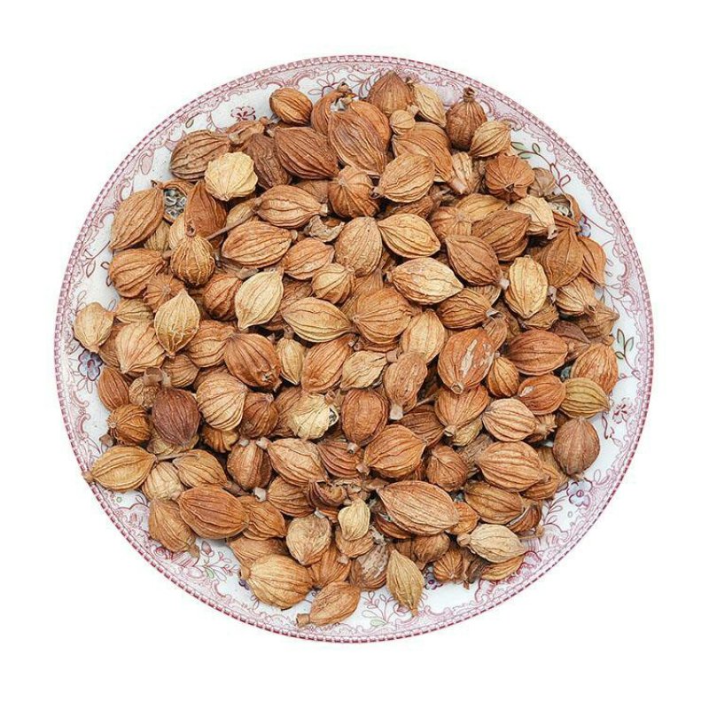 香砂香料调料药食两用各种中药材
