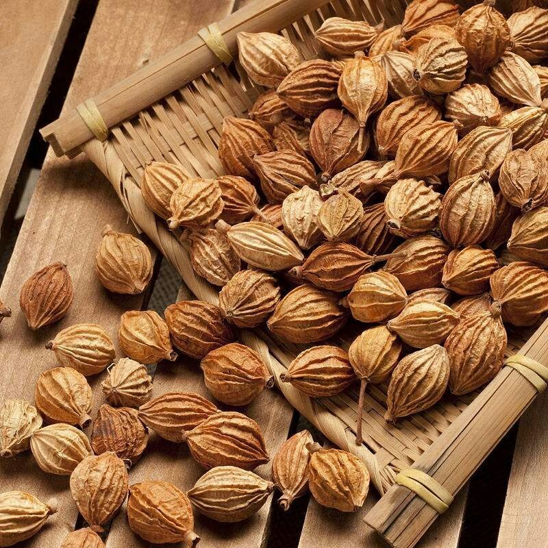 香砂香料调料药食两用各种中药材