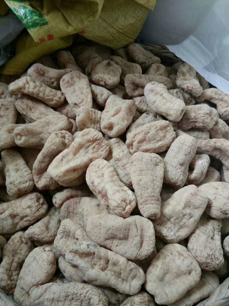 【有好货】包邮云南昭通小草坝特产仿野生天麻干货7个左右