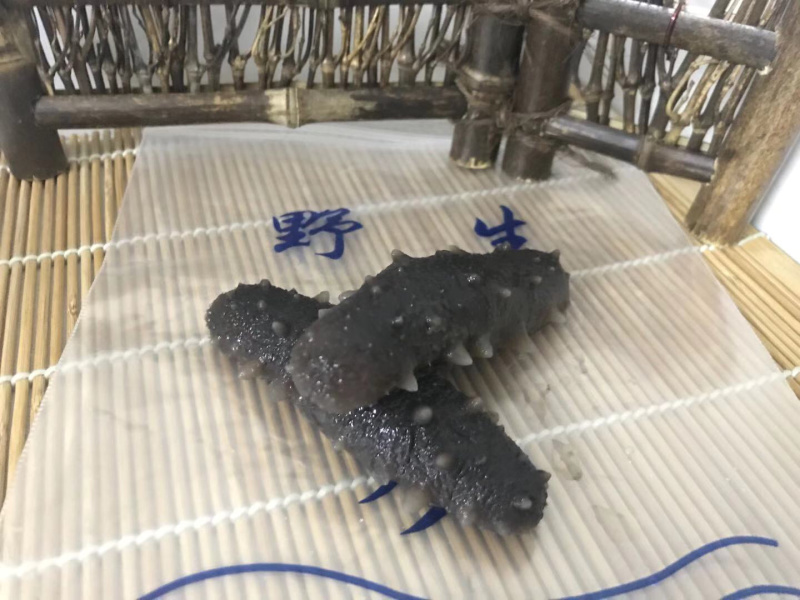 海参即食辽参