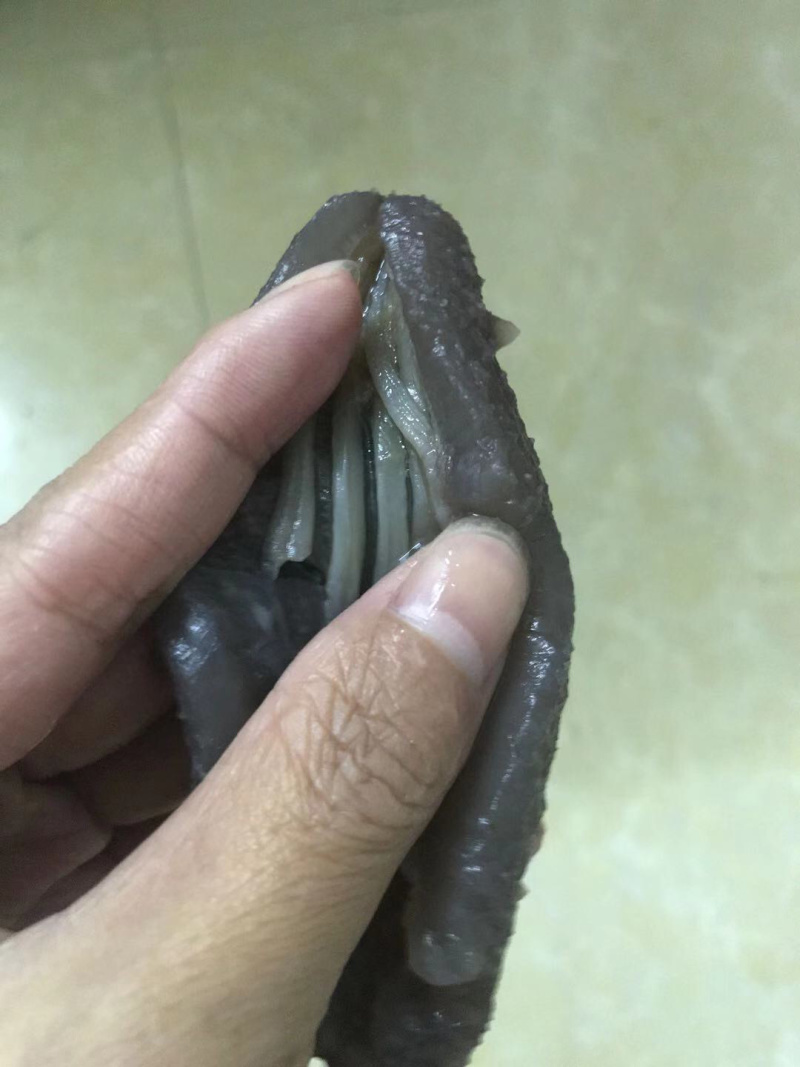 海参即食辽参