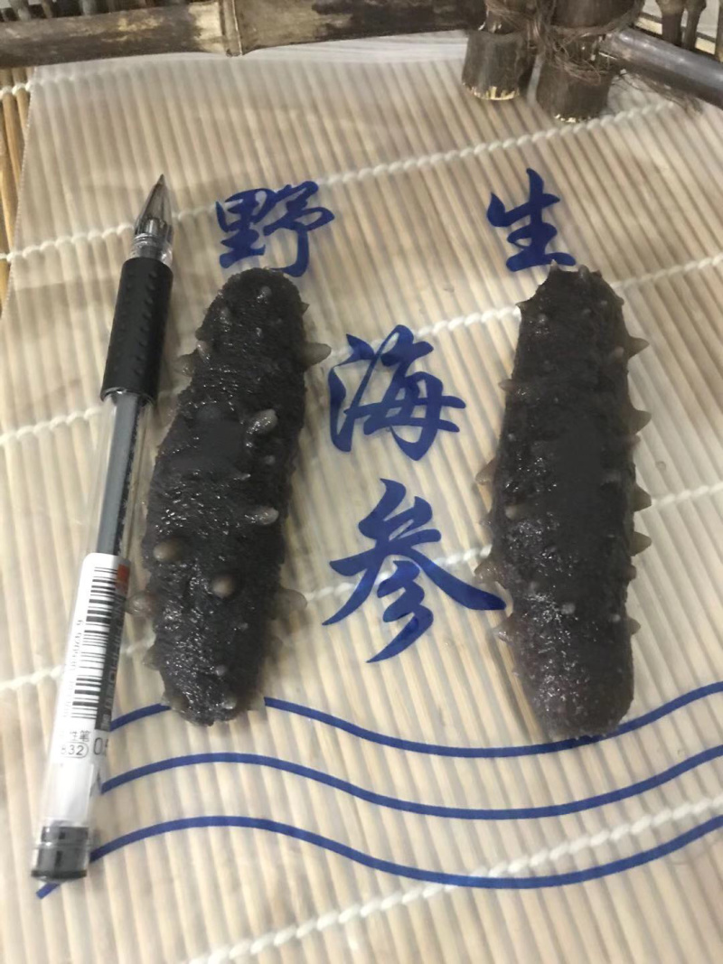 海参即食辽参