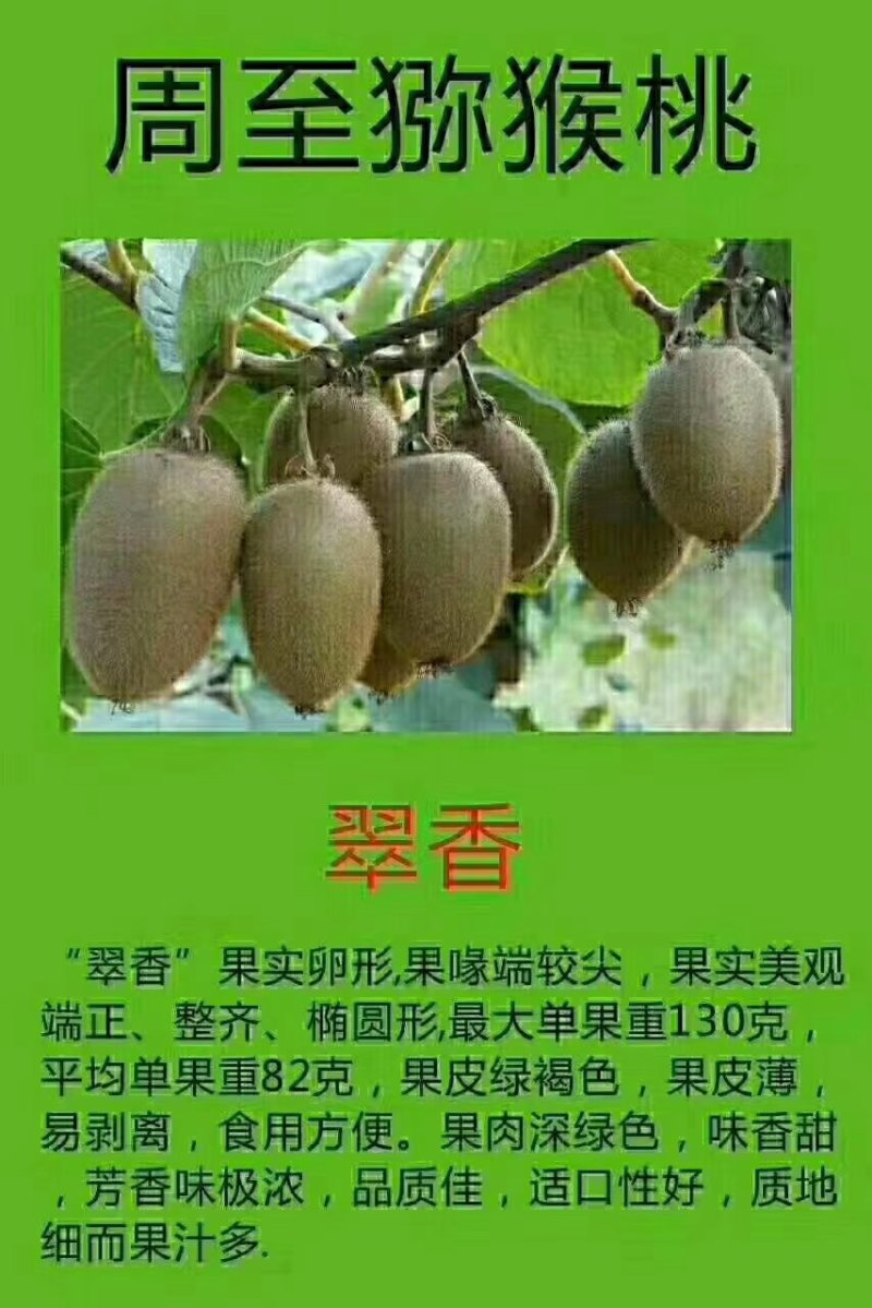 绿心猕猴桃