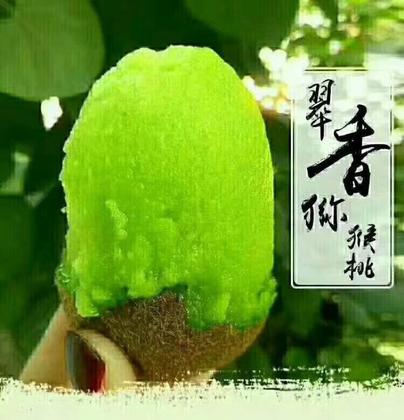 绿心猕猴桃