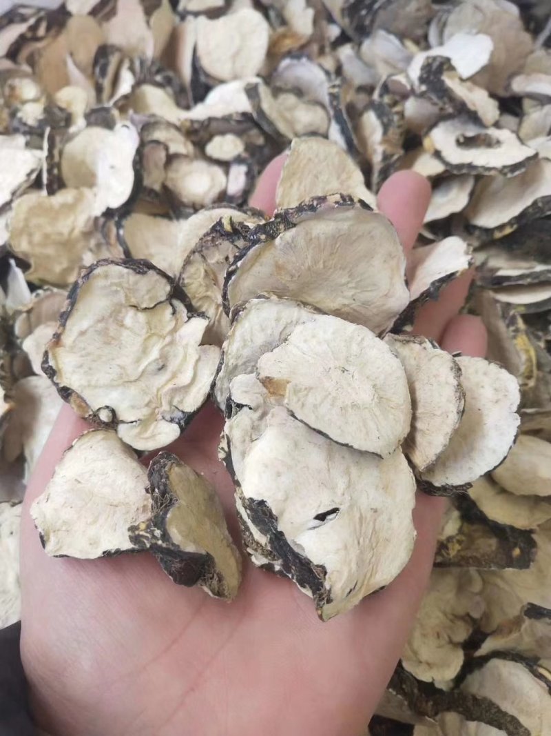 【包邮】云南特产丽江黑玛卡干果玛咖片大果产地批发
