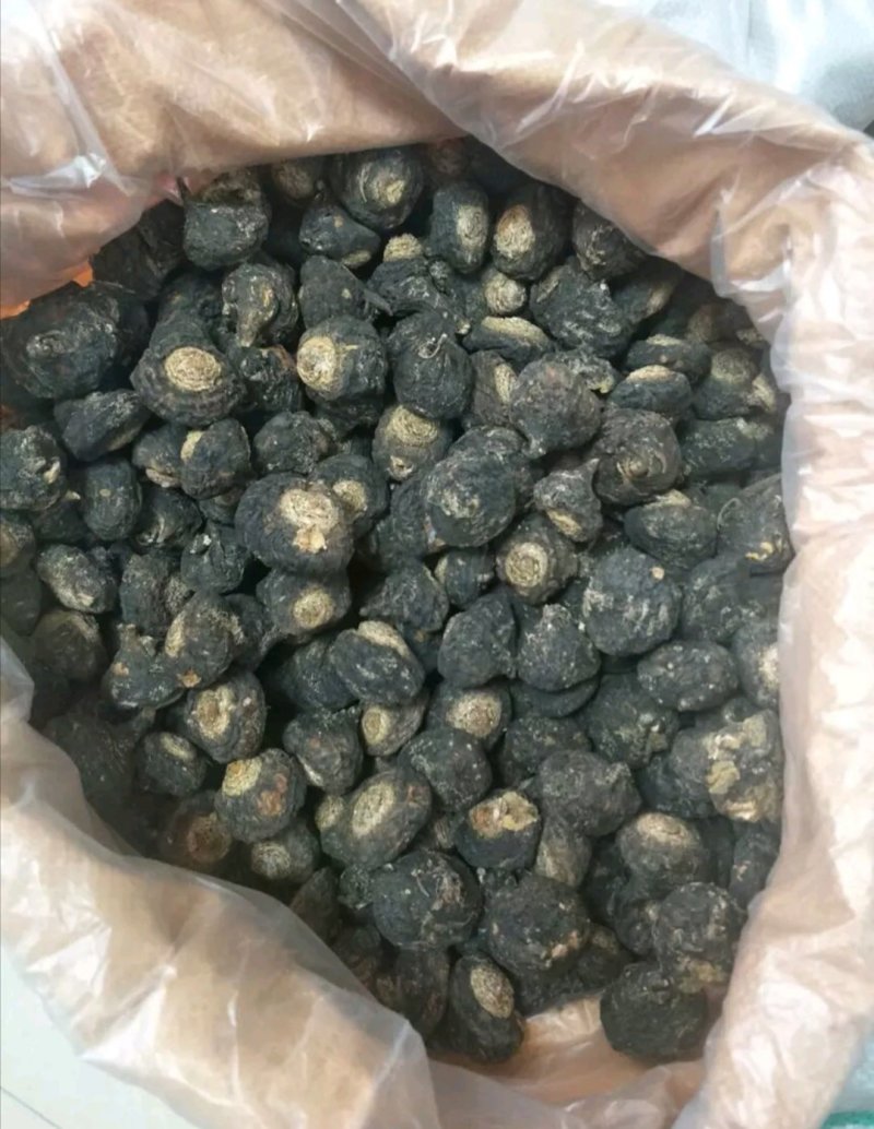 【包邮】云南特产丽江黑玛卡干果玛咖片大果产地批发