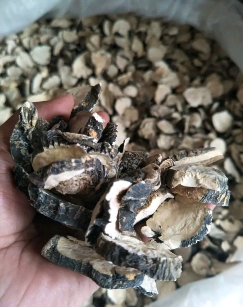 【包邮】云南特产丽江黑玛卡干果玛咖片大果产地批发