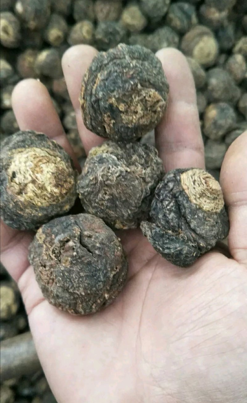 【包邮】云南特产丽江黑玛卡干果玛咖片大果产地批发