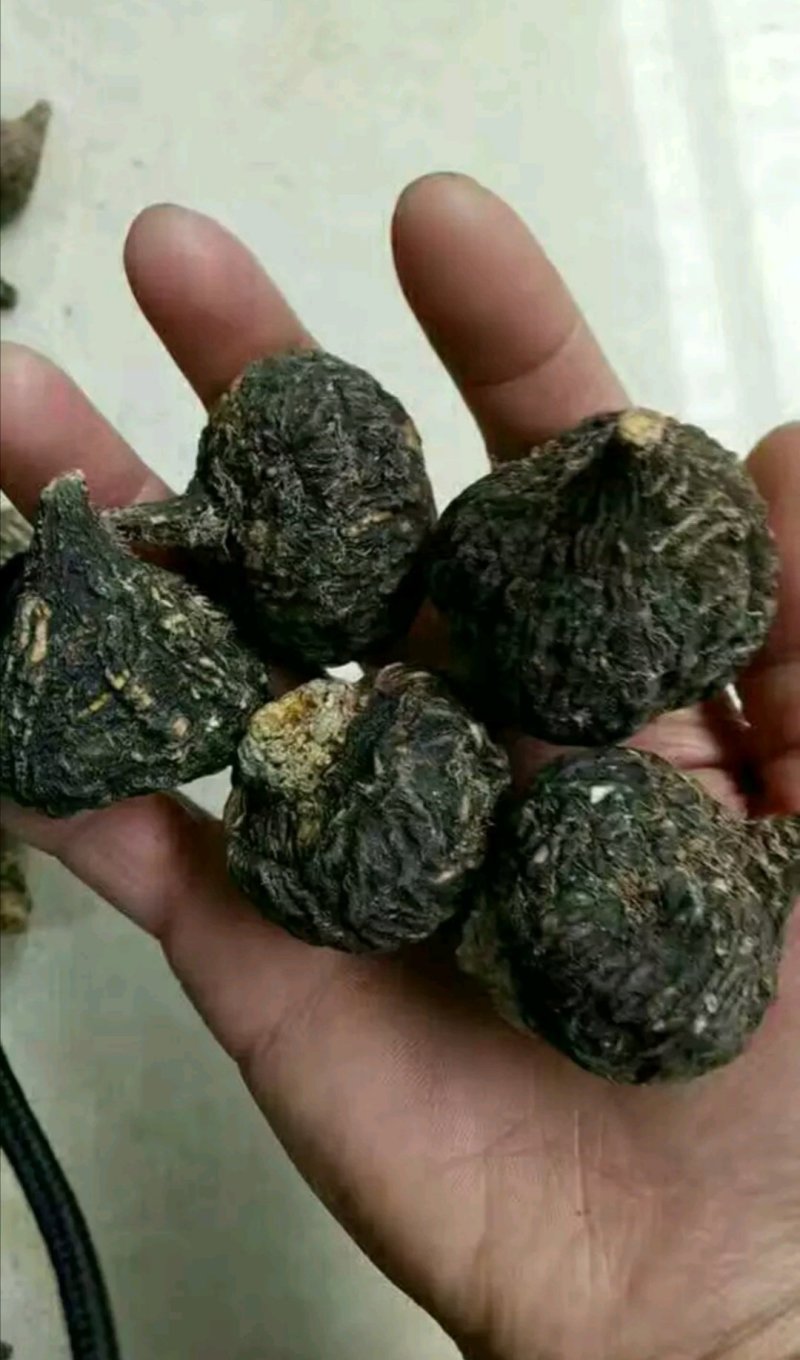 【包邮】云南特产丽江黑玛卡干果玛咖片大果产地批发