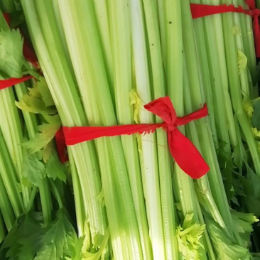 西芹