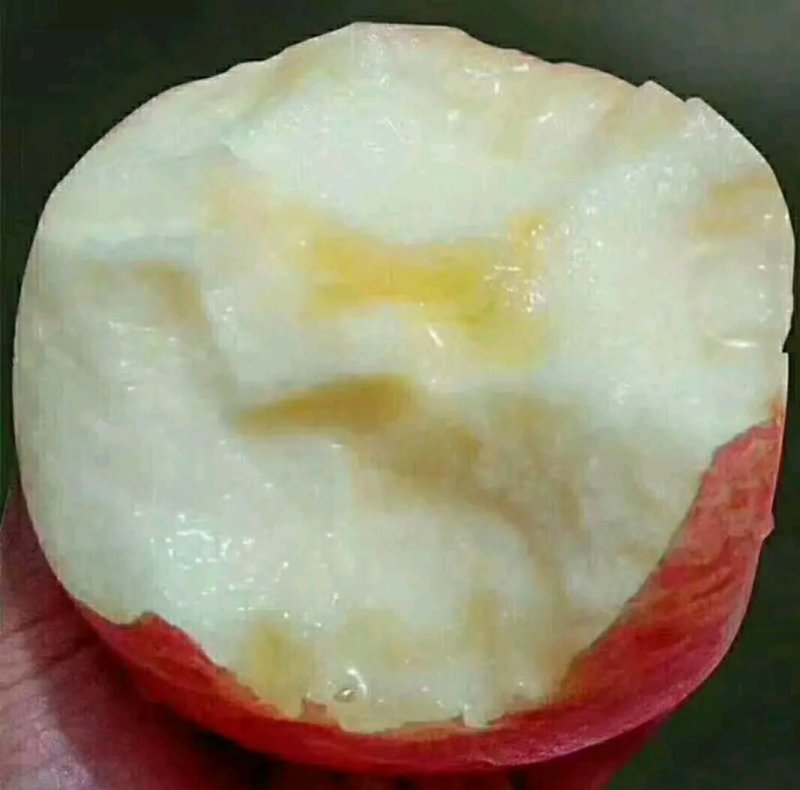 红富士苹果，河北保定，脆甜适口产地直发，