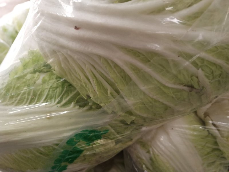 城固大白菜大量上市中2一3斤现货品种多样