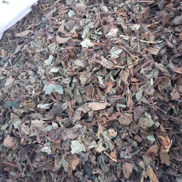 鱼腥草干货无杂质中草药批发零售无条件退货
