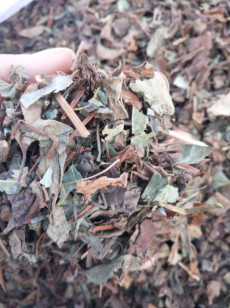 鱼腥草干货无杂质中草药批发零售无条件退货