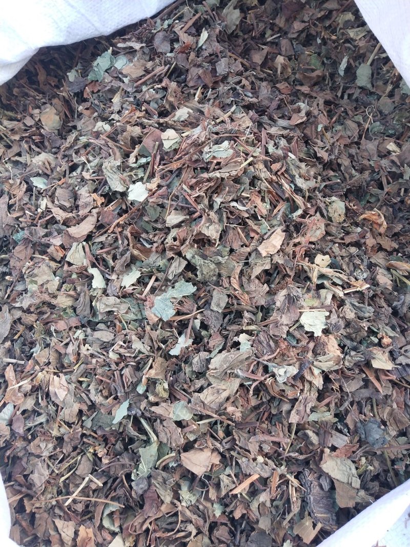鱼腥草干货无杂质中草药批发零售无条件退货