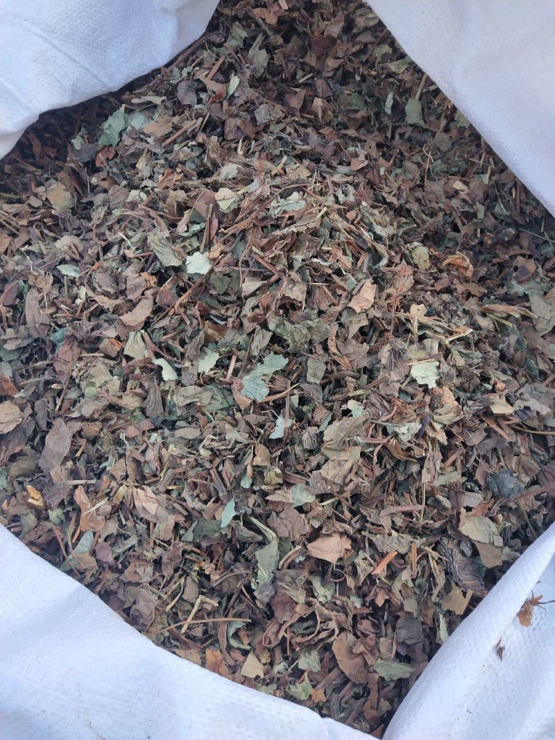 鱼腥草干货无杂质中草药批发零售无条件退货