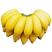 红香蕉苗粉蕉苗皇帝蕉苗威廉斯9号苗纯正品种