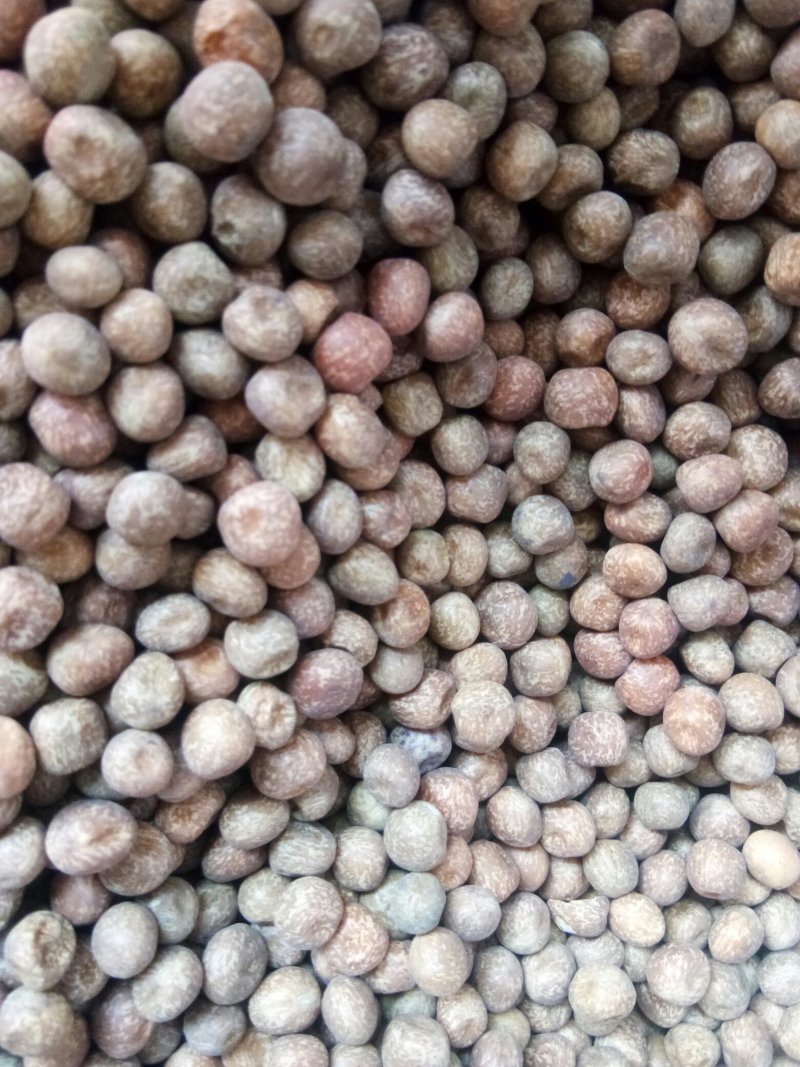 麻豌豆，大量批发麻豌豆，白豌豆，青豌豆，