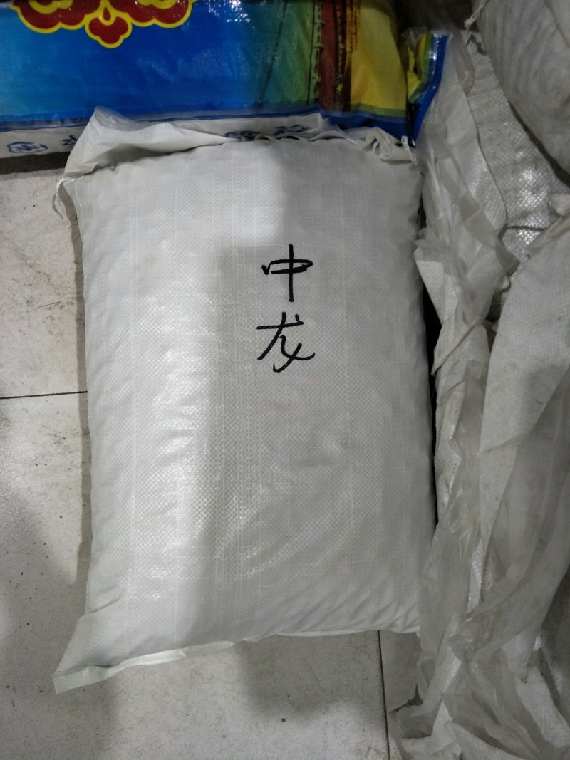 开口杏核，五香中龙。。。。。。。。。。。。
