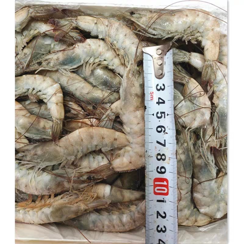 南美白对虾整箱6盒海捕新鲜鲜活速冻海虾大虾子海鲜包邮