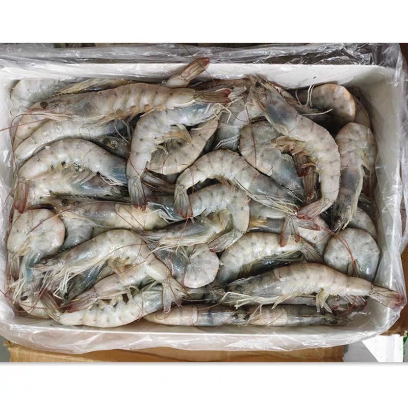 南美白对虾整箱6盒海捕新鲜鲜活速冻海虾大虾子海鲜包邮