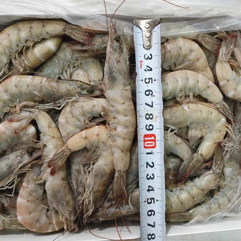 南美白对虾整箱6盒海捕新鲜鲜活速冻海虾大虾子海鲜包邮