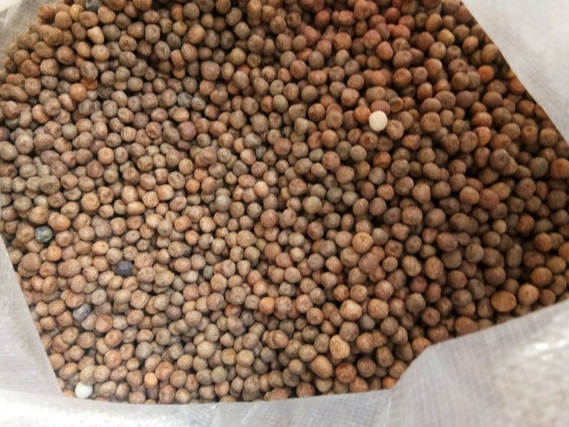 麻豌豆，大量批发麻豌豆，白豌豆，青豌豆，