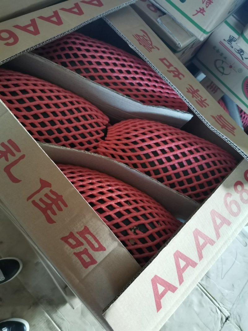 越南进口精品黑美人西瓜