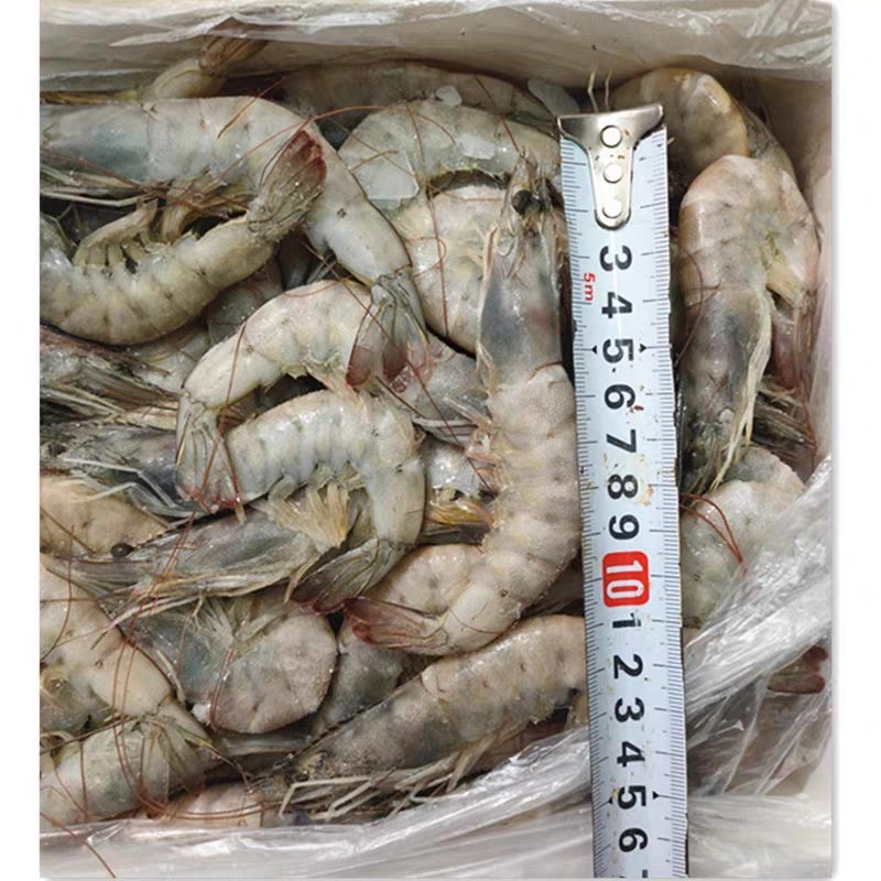 南美白对虾整箱6盒海捕新鲜鲜活速冻海虾大虾子海鲜包邮