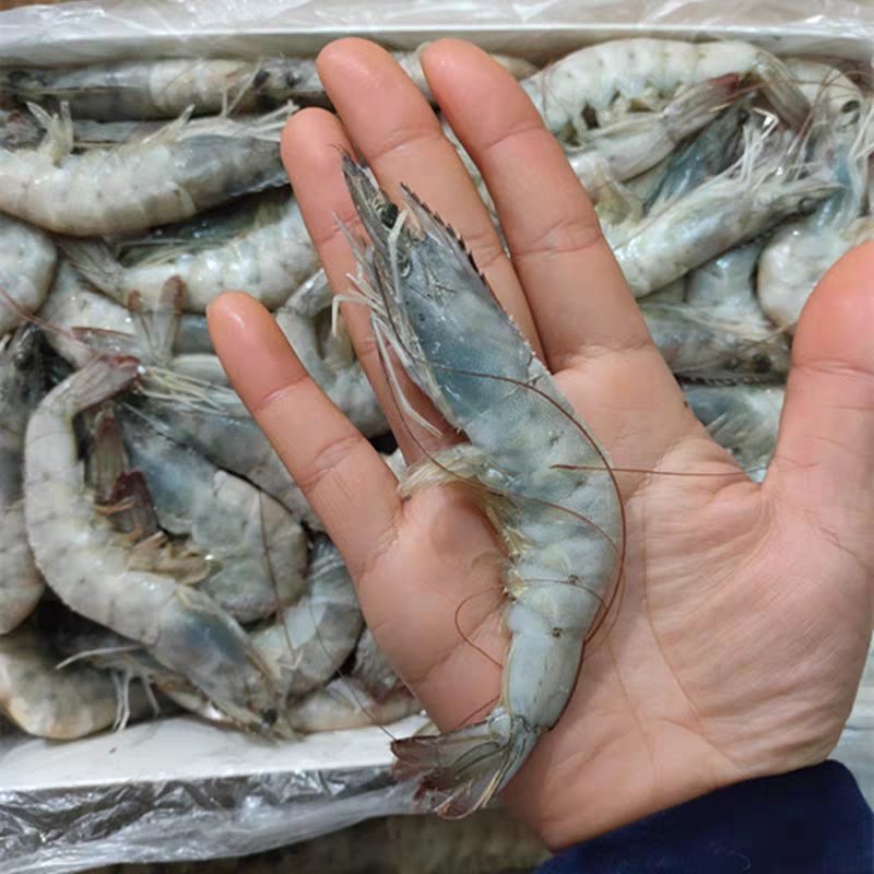 南美白对虾整箱6盒海捕新鲜鲜活速冻海虾大虾子海鲜包邮