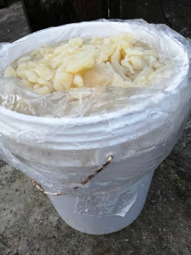 海蜇头～八爪蛰新货可视看货酒店精美凉菜，全国发货