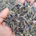 纯新产板蓝根子，基地一手货源，出芽率高量大从优