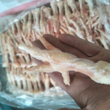 鸡爪