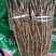 优质油用牡丹苗（可观赏可药用）基地直发量大从优