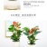 红掌火鹤鸿运当头绿植花卉盆栽办公室内外水培植物客厅卧室吸