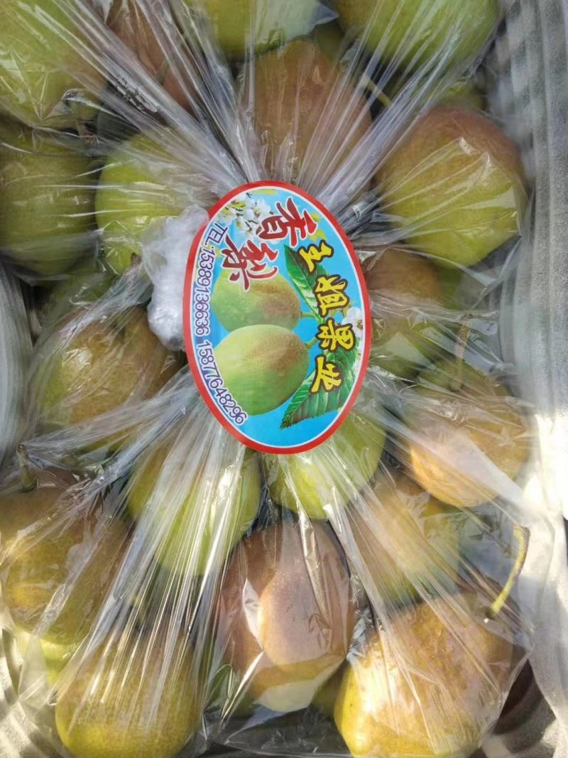 【牛商热卖】万亩红香酥梨皮薄！酥梨胡小！口感脆甜！保质量