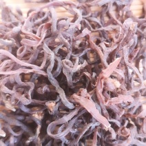 大量批发薇菜干牛毛广粗菜杠子菜