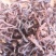 大量批发薇菜干牛毛广粗菜杠子菜