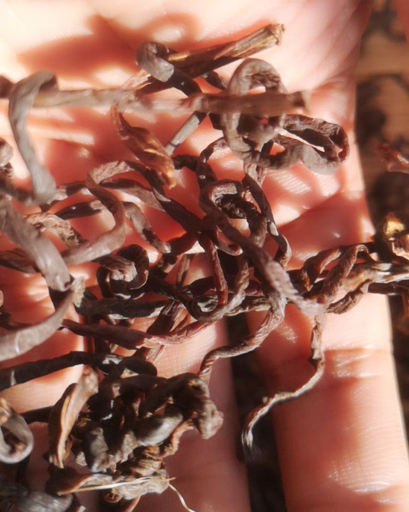 大量批发薇菜干牛毛广粗菜杠子菜