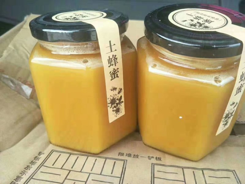 土蜂蜜老巢蜜