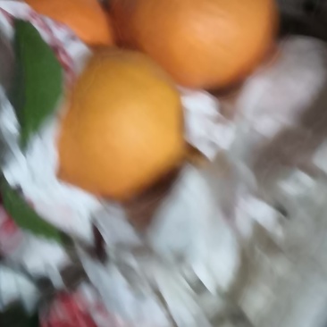 耙耙柑带叶高次果每天二万斤现货供应