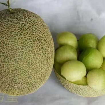 寿光各种甜瓜大量上市