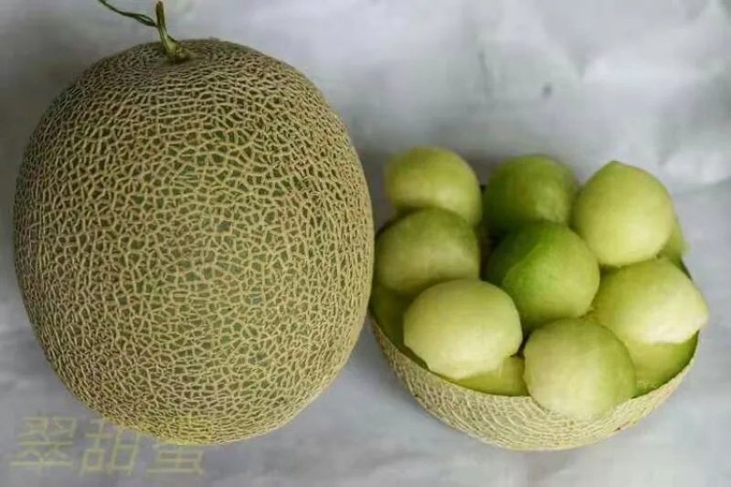 寿光各种甜瓜大量上市