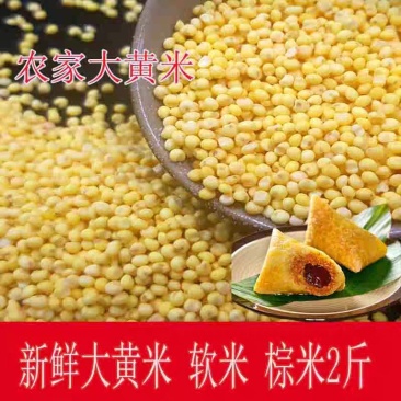 一件代发山西岚县特产软米大黄米粽米