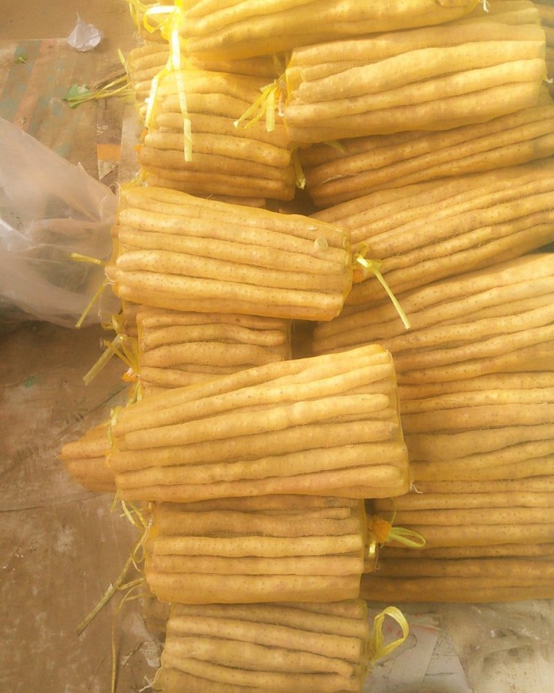 【精品】河北山药小白嘴白山药箱货30-70公分白嘴山药批发