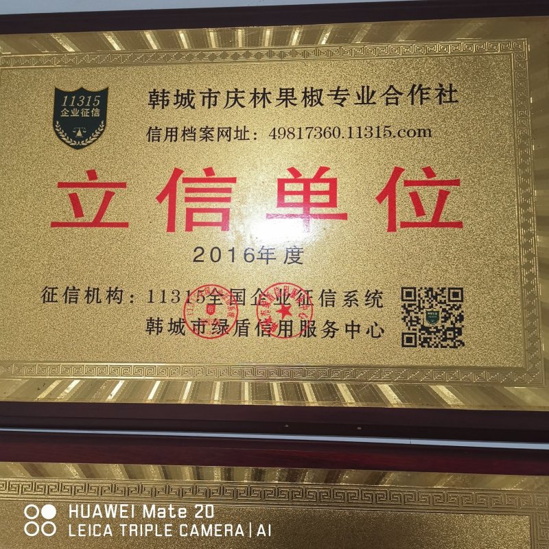 陕西韩城大红袍花椒特级干