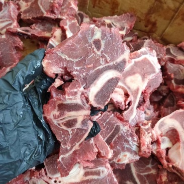新鲜牛勃骨据块装箱适合饭店炖红烧