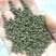 广西中花吴茱萸青果，圆颗