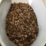 波斯菊种子格桑花种子花卉种子四季播种10斤/亩