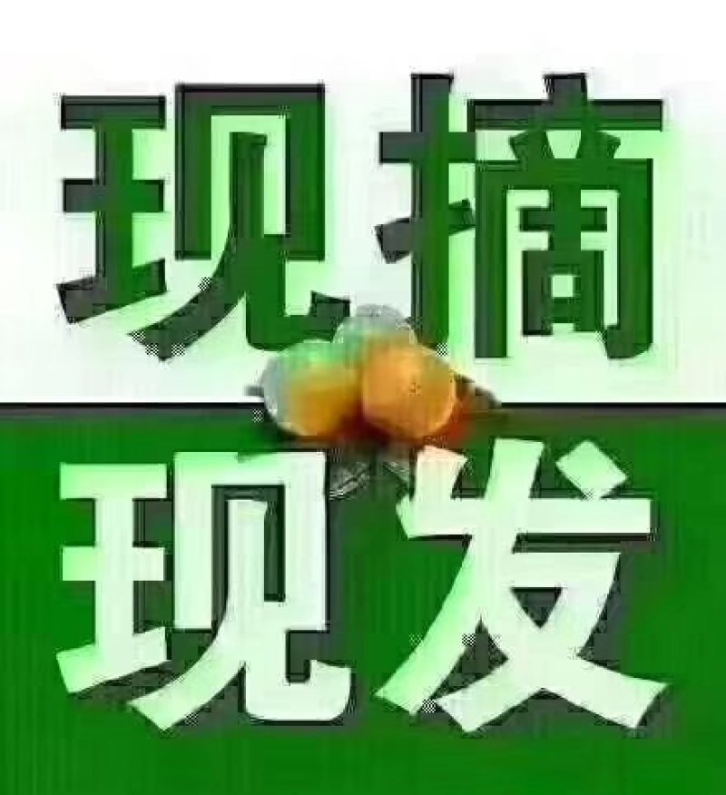 资中塔罗科血橙